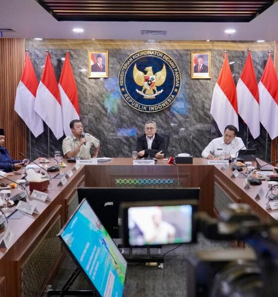 whatsapp image 2025 11 12 at 11.18.47