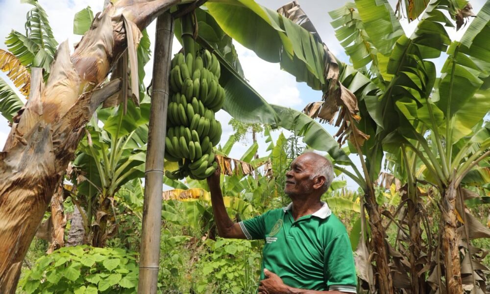 whatsapp image 2025 11 17 at 8.20.06 pm