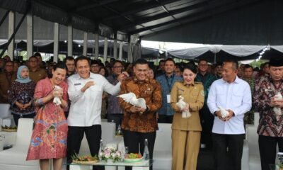 54319b76 c1a6 4f2c af0b a4773081eb5f