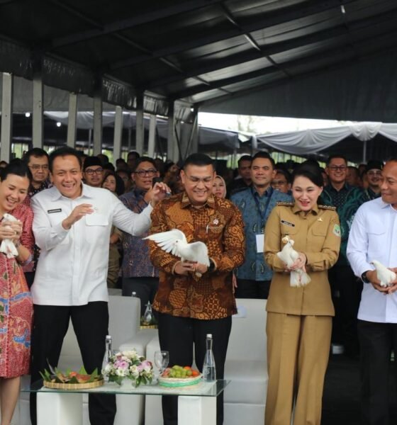 54319b76 c1a6 4f2c af0b a4773081eb5f