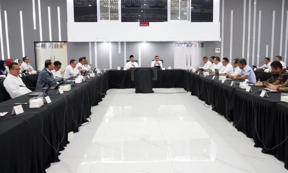 356135fa c8b3 47c1 a48c 64a93dd57c33