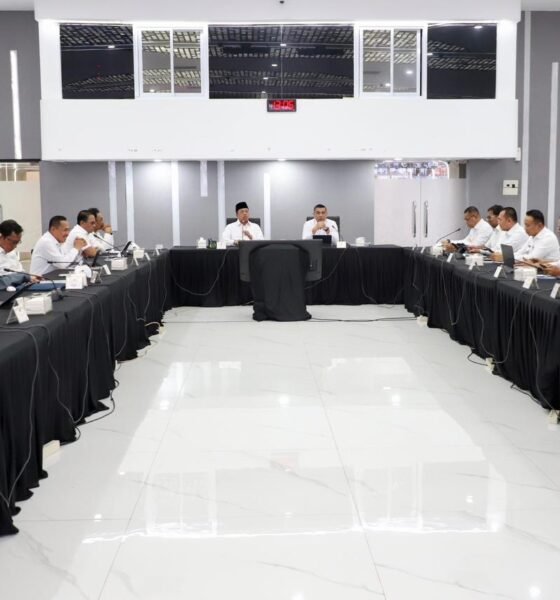 356135fa c8b3 47c1 a48c 64a93dd57c33