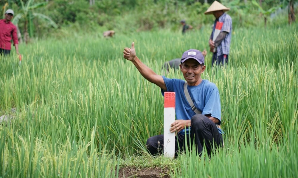 6599a658 8a6e 449d adae b8c6700569a8