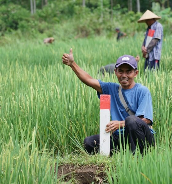 6599a658 8a6e 449d adae b8c6700569a8