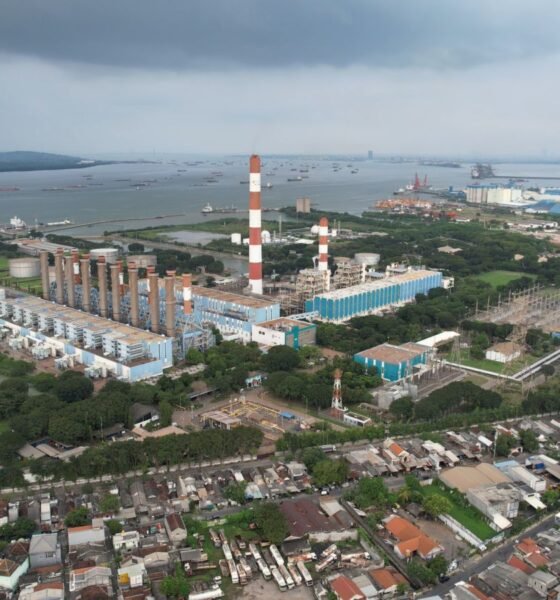 whatsapp image 2026 03 12 at 14.54.23