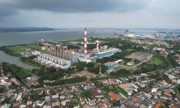 whatsapp image 2026 03 12 at 14.54.23