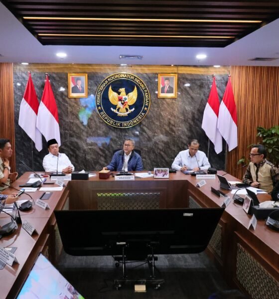 whatsapp image 2026 03 12 at 21.46.08